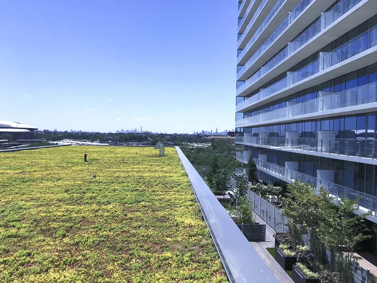 Green roof system