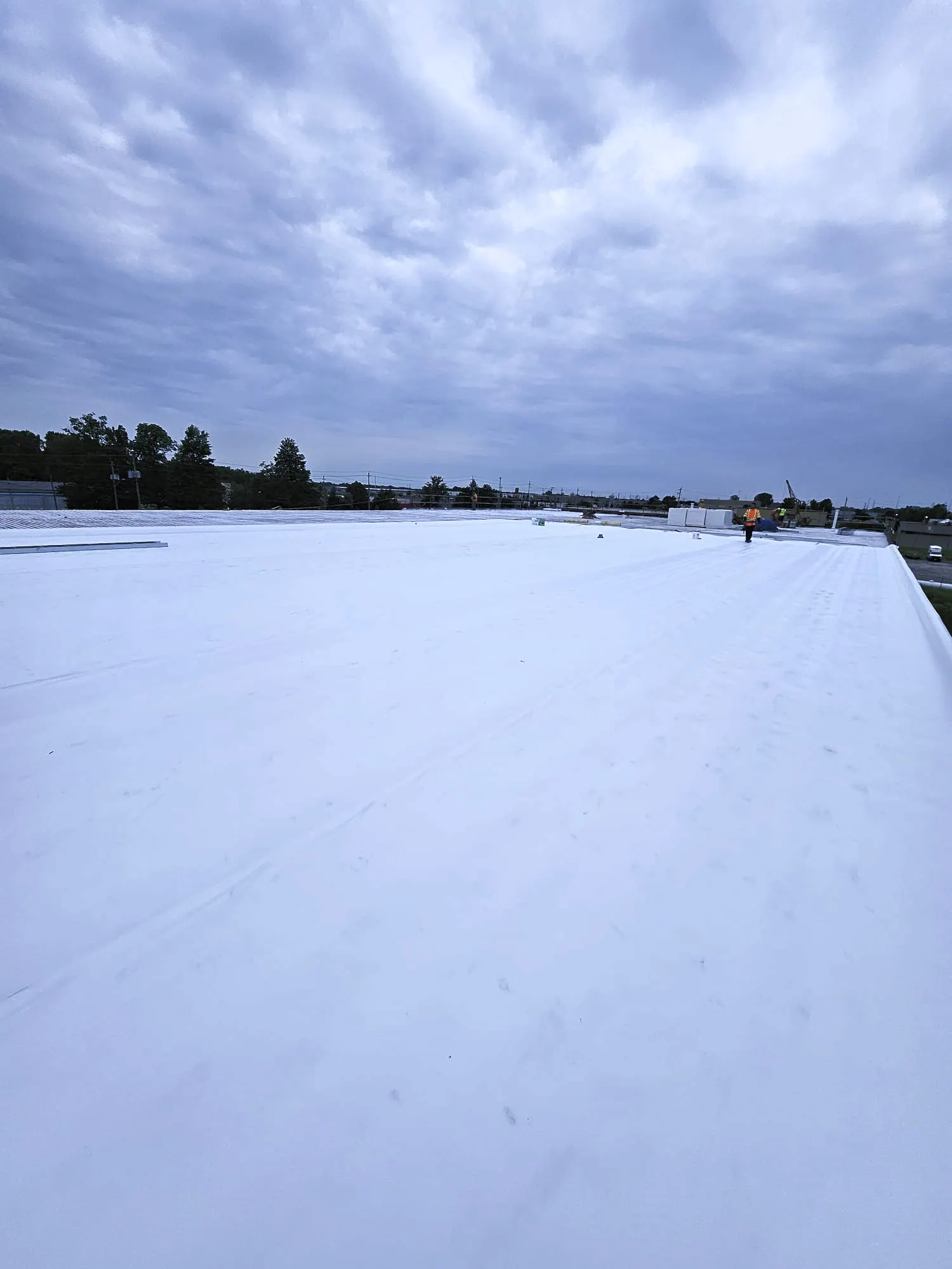 TPO single-ply membrane roof